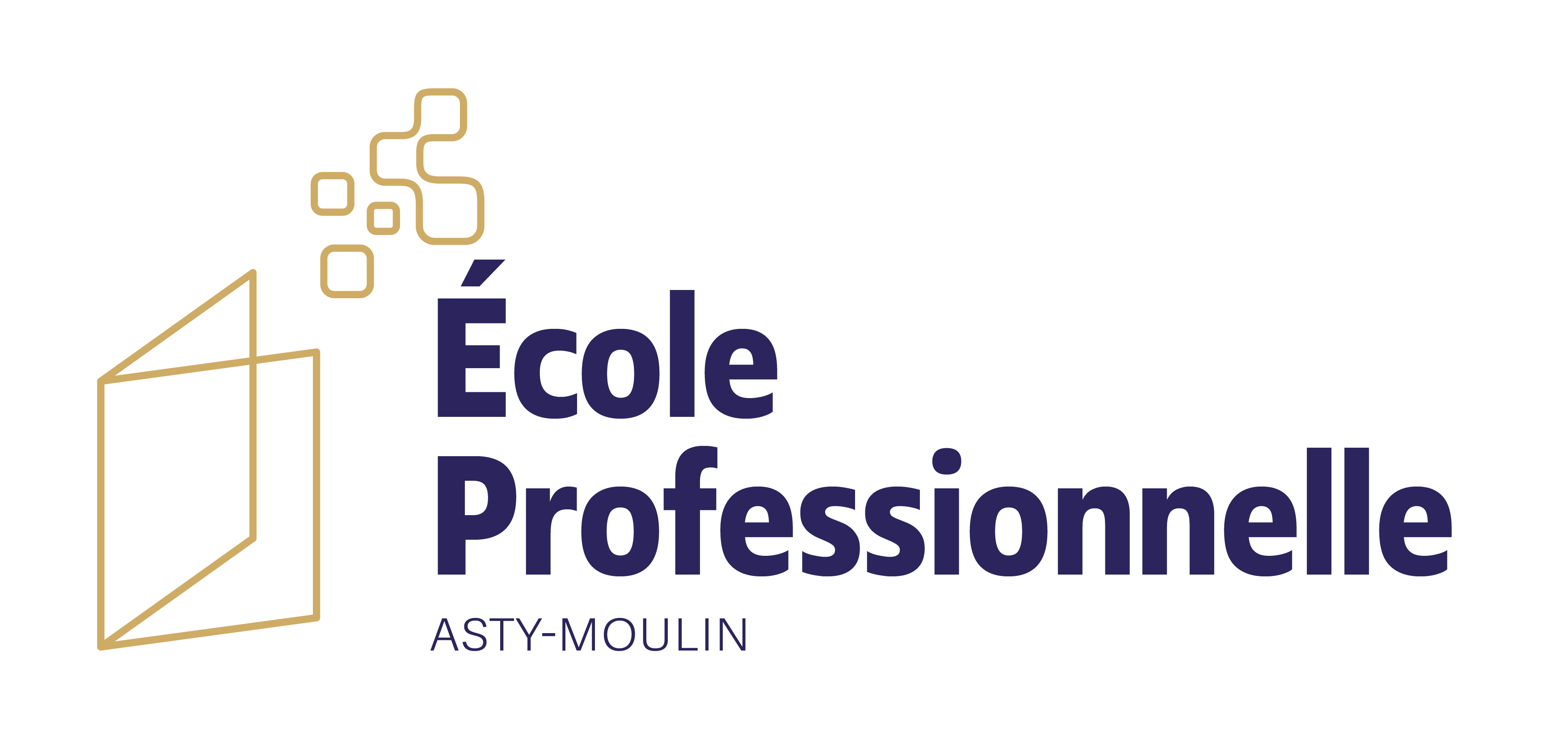 Ecole Professionnelle Logo quadri DEF